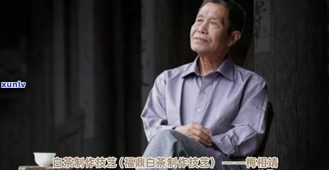 福鼎大毫茶图片全集：高清放大图一览