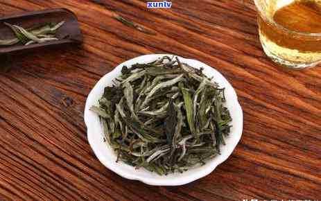 福鼎大毫茶是什么茶-福鼎大毫茶是什么茶种