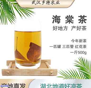 探究湖北海棠茶叶的神奇功效与作用