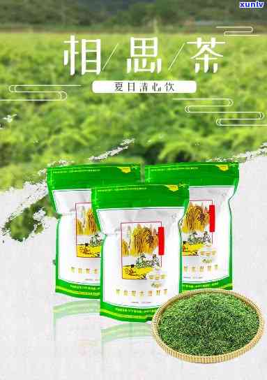 相思茶属于什么茶，探秘相思茶：它属于哪一类茶叶？