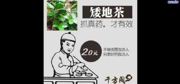 矮地茶的搭配，矮地茶的黄金搭档，你知道是什么吗？