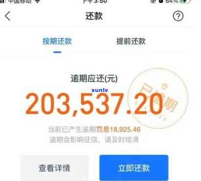 借呗逾期10万无力偿还，深陷困境：借呗逾期10万无力偿还，出路何在？