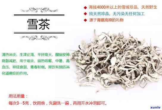 白雪茶：什么类型的茶？