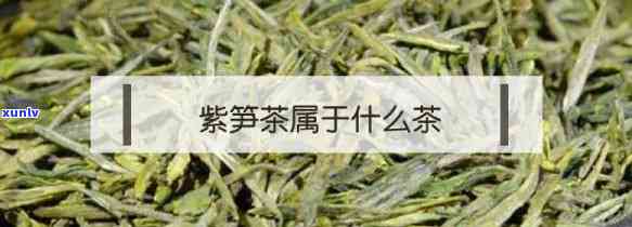 紫笋茶：哪些人群不宜饮用？女性需特别注意！