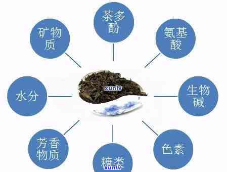 三和茶：由哪些成分组成？属于什么类型的茶？