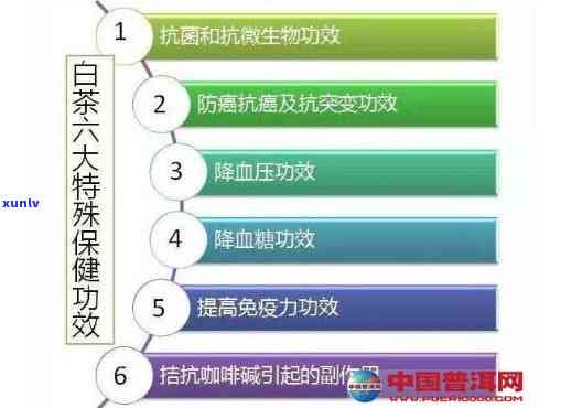 全面解析：白桦茶的好处、坏处与功效