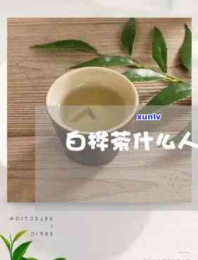 白桦茶什么人不能喝-白桦茶什么人不能喝呢