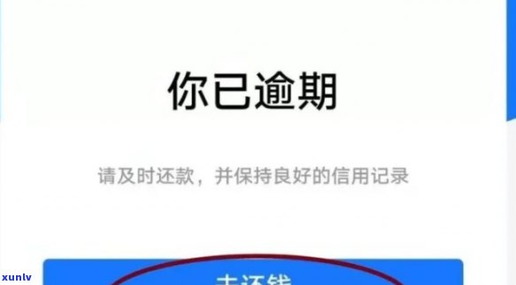 借呗逾期一天会有什么结果利息涨多少，警惕！借呗逾期一天的严重结果：利息怎样计算和增长？