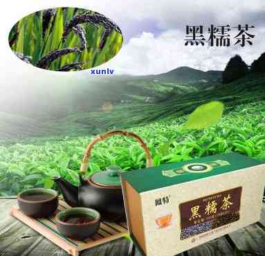 黑糯茶什么人不适宜喝，哪些人群不适合饮用黑糯茶？