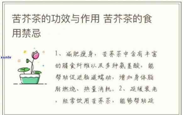 苦芥茶什么人不能喝-苦芥茶什么人不能喝呢