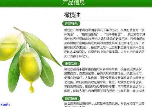 深入了解：橄榄茶的副作用、禁忌与注意事