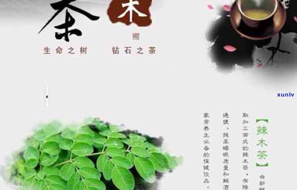 辣木茶什么人不能喝-辣木茶什么人不能喝呢