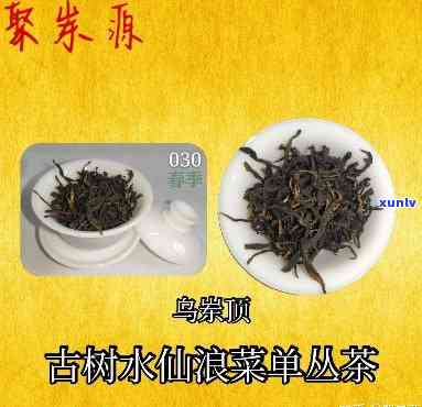 适合存放的茶有哪些，寻找最适合存放的茶叶种类