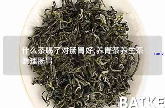 对肠道有益的茶：种类与功效全解析