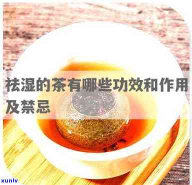 什么人不能喝除湿茶？了解禁忌，避免不良反应