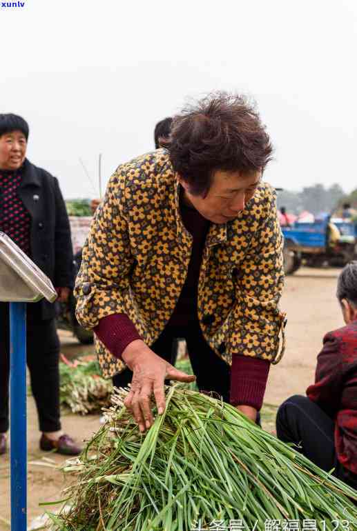 什么人不能喝丹参茶，哪些人群不宜饮用丹参茶？