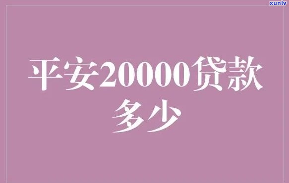 平安普两万贷一年利息多少？请提供详细信息以获取准确答案。