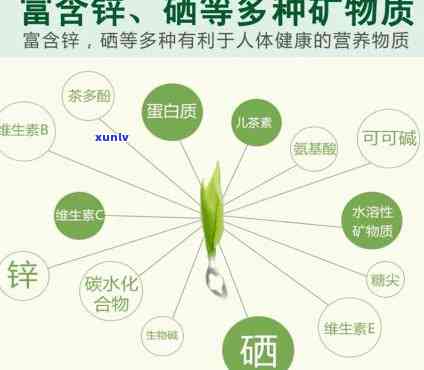 什么人不适合喝锌硒茶？了解禁忌人群和注意事