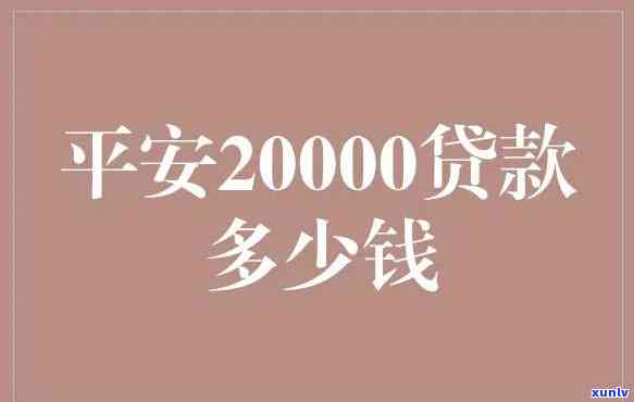 平安普贷款20万一年利息多少，平安普贷款20万一年利息计算  与费用解析