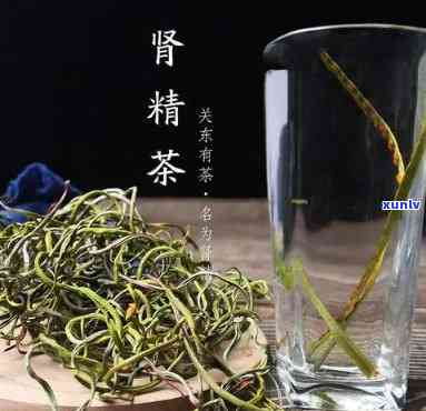 什么人不能喝肾精茶呢，哪些人群不适合饮用肾精茶？