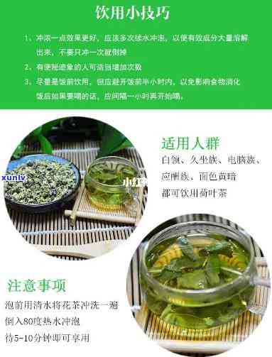 小清茶的功效与作用及禁忌全解析