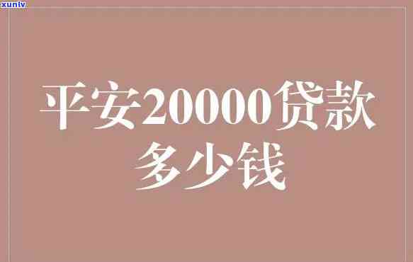 平安普两万贷一年利息多少？求详细回答！