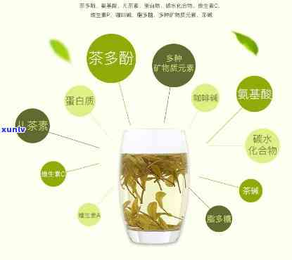 宿畅茶功能及副作用，宿畅茶：功能与可能的副作用解析