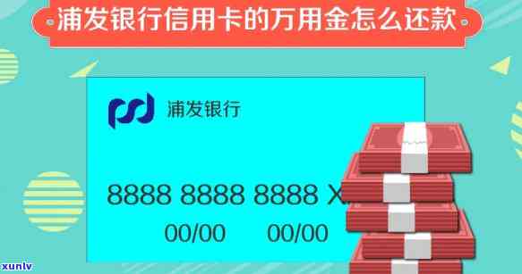 浦发信用卡备用金利息太高能降吗，浦发信用卡备用金利息过高，能否申请减少？