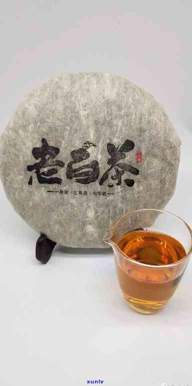 存新茶喝老茶下一句怎么对，茶叶收藏与饮用：存新茶，喝老茶的智慧与艺术