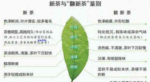 普洱茶一般是什么价格：十年、二十年普洱茶和散装的价格参考