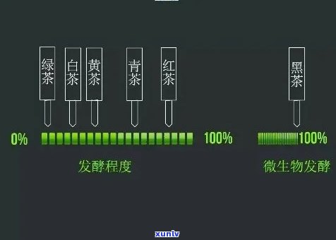 发酵茶有哪些茶，探究发酵茶的种类：了解不同类型的发酵茶