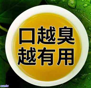 口干口臭喝什么茶好呢，口干口臭？试试这些茶，让你口气清新！