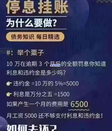 欠网贷可以停息挂账吗怎么还利息-欠网贷可以停息挂账吗怎么还利息呢