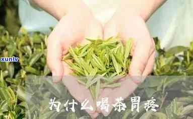 喝清茶胃疼是啥原因-喝清茶胃疼是啥原因引起的