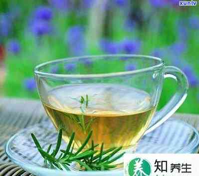 天热出汗喝什么茶好一点？日解暑良品推荐！