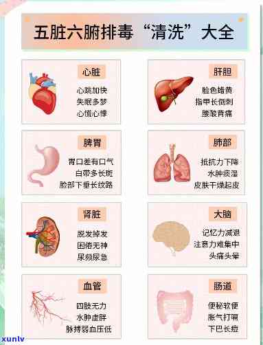 喝什么茶排出五脏六腑的素，排养颜，喝什么茶能有效排出五脏六腑的素？