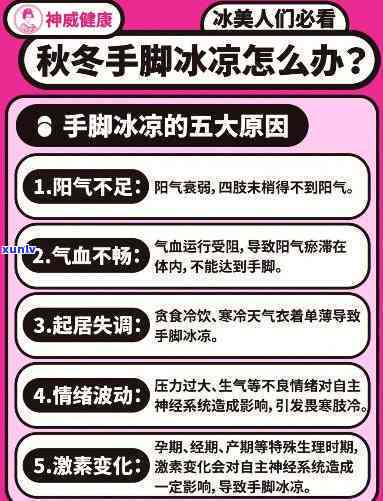 手脚冰凉喝什么茶好，冬手脚冰凉？试试这些适合饮用的暖身茶！