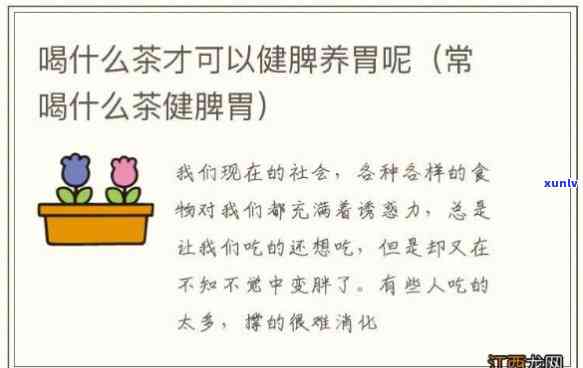 什么茶养胃健脾助消化？最消食、效果好的茶是哪种？