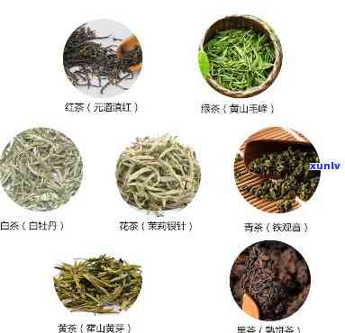 助消化喝什么茶喝？茶叶种类推荐！