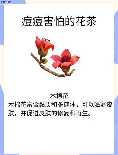 长痘应该喝什么茶，祛痘小妙招：常喝这些茶，轻松告别痘痘烦恼！