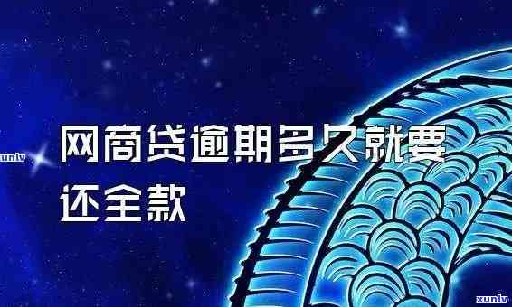 网商贷逾期结果，深入熟悉网商贷逾期的严重结果，不可忽视的风险警示！