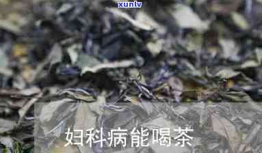 妇科病可以喝茶叶吗，探讨茶叶对妇科疾病的影响：可以饮用吗？