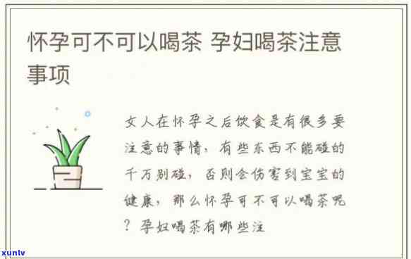 怀孕期间能喝益清茶吗？早期、中期、晚期都可以吗？