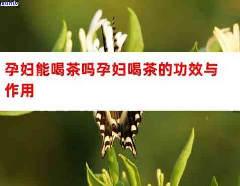 怀孕可以喝益生茶吗，孕期能否饮用益生茶？专家为你解答