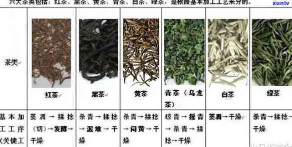 冠心病能喝什么茶？专家推荐最适合的茶叶种类