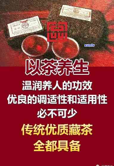 喝藏清茶的功效：揭示其作用与好处