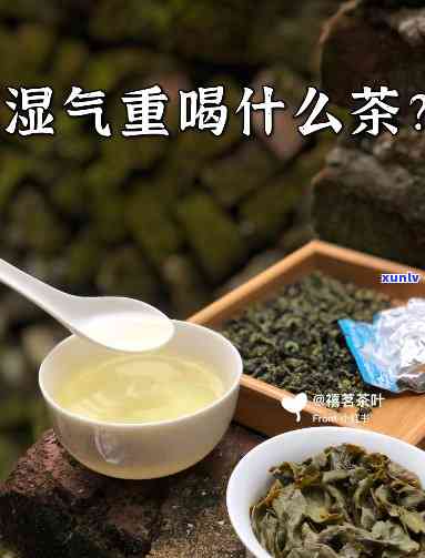 喝什么茶除湿气？六种选择及饮用 *** 解析