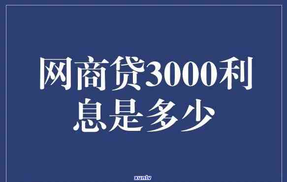 网商贷和360，比较网商贷与360的优缺点，哪个更适合你的贷款需求？