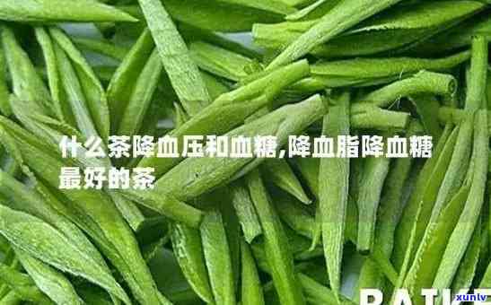 喝哪种茶降血压血脂效果？专家为你解答