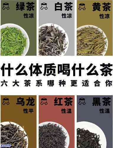 喝什么茶能？详解各类茶的功效与作用